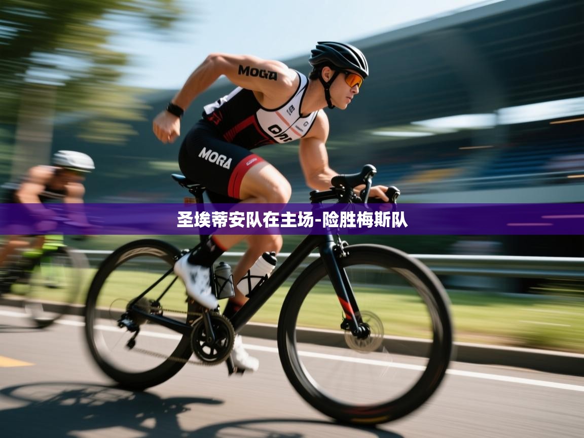 圣埃蒂安队在主场-险胜梅斯队  第2张