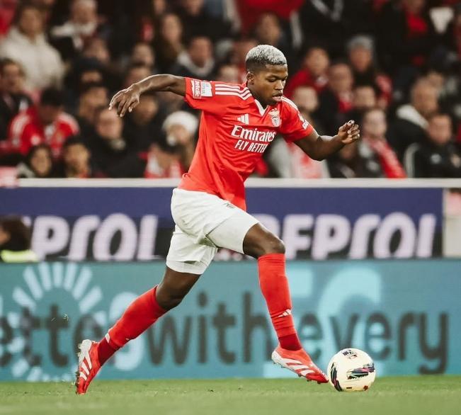 爱游戏官网-包含本菲卡主场无力回天，欲扭转劣势的词条