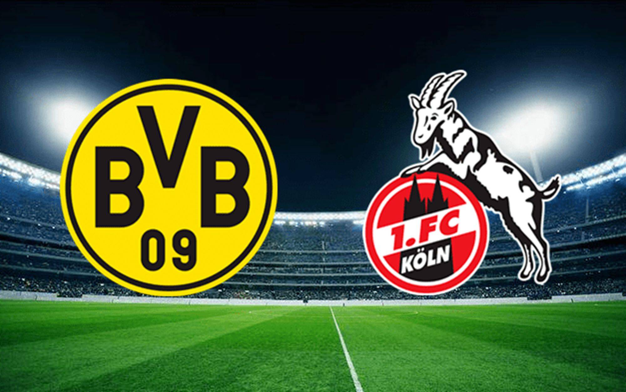 莫斯科斯巴达战绩低迷，实力下降明显的简单介绍