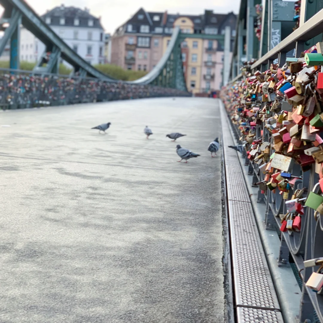 爱游戏中国官网-捷克柏柏尔后卫协助法兰克福终结不胜