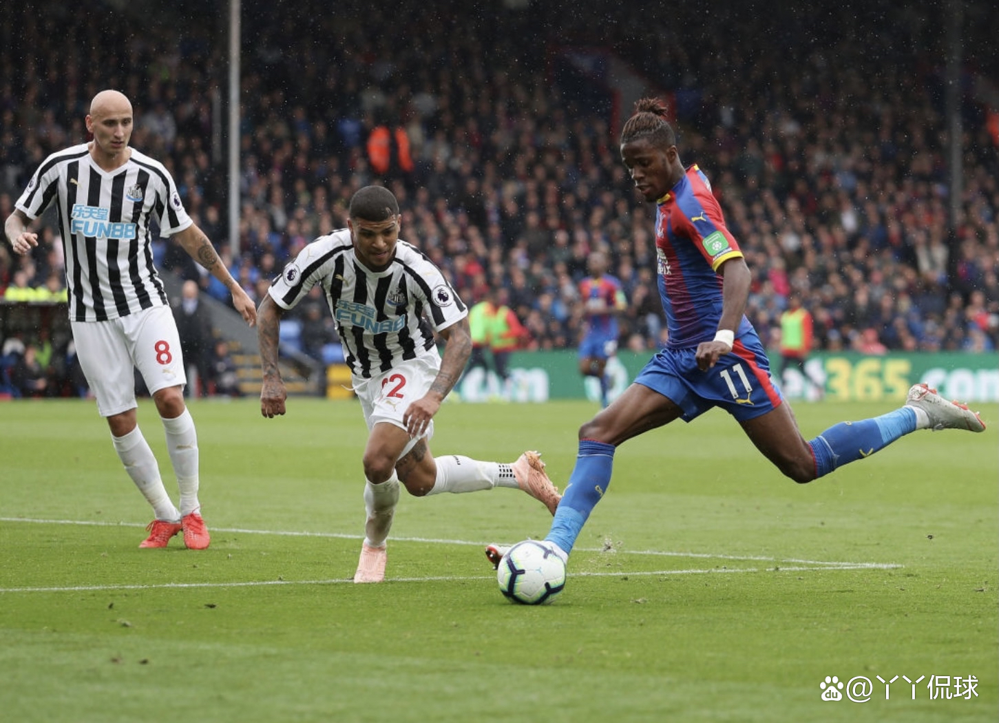 爱游戏官网-关于纽卡斯尔主场告负水晶宫，遭遇三轮不胜的信息