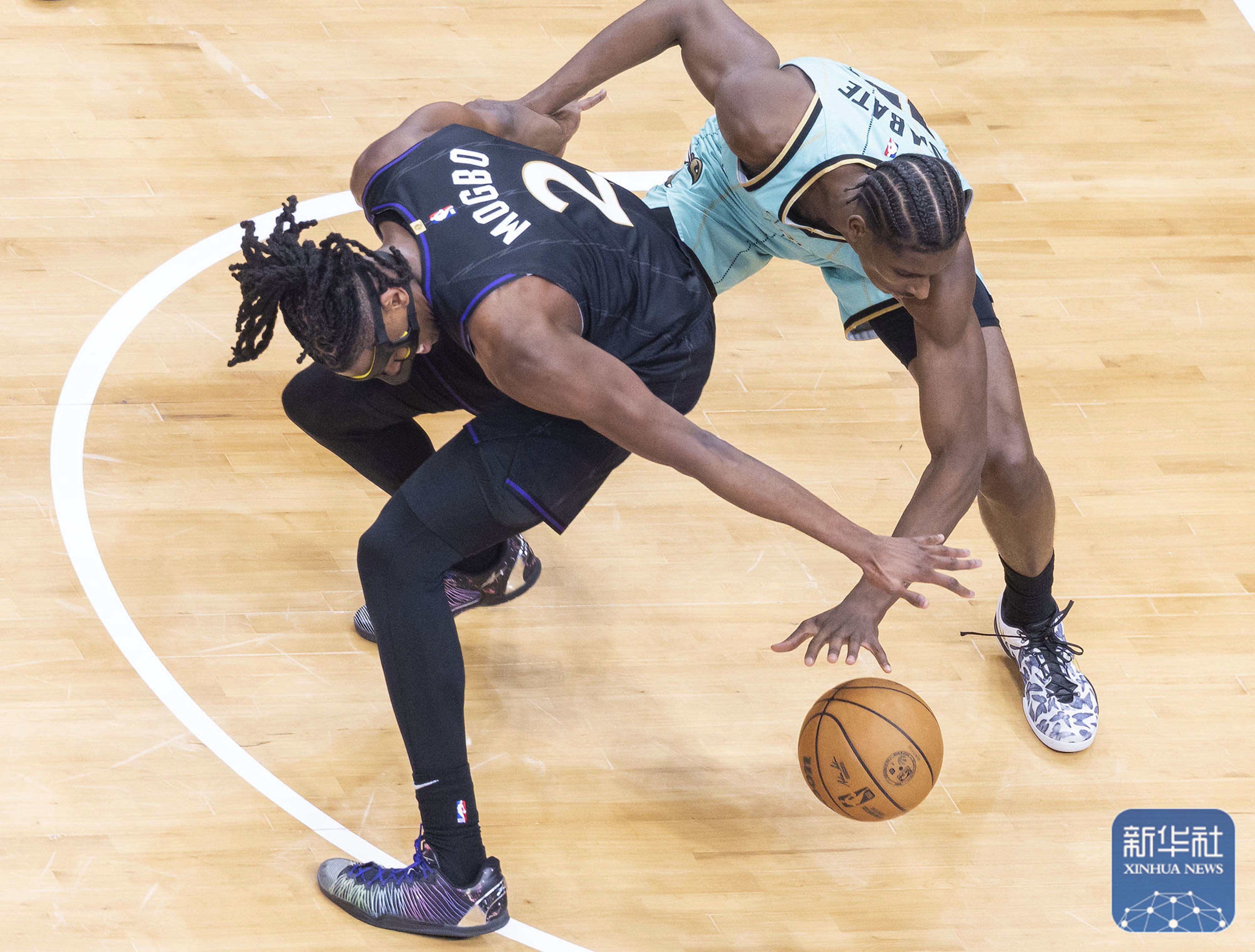 猛龙主场击败对手，稳固领先优势